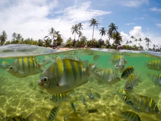Homestay Taipu De Fora Marau (Bahia)