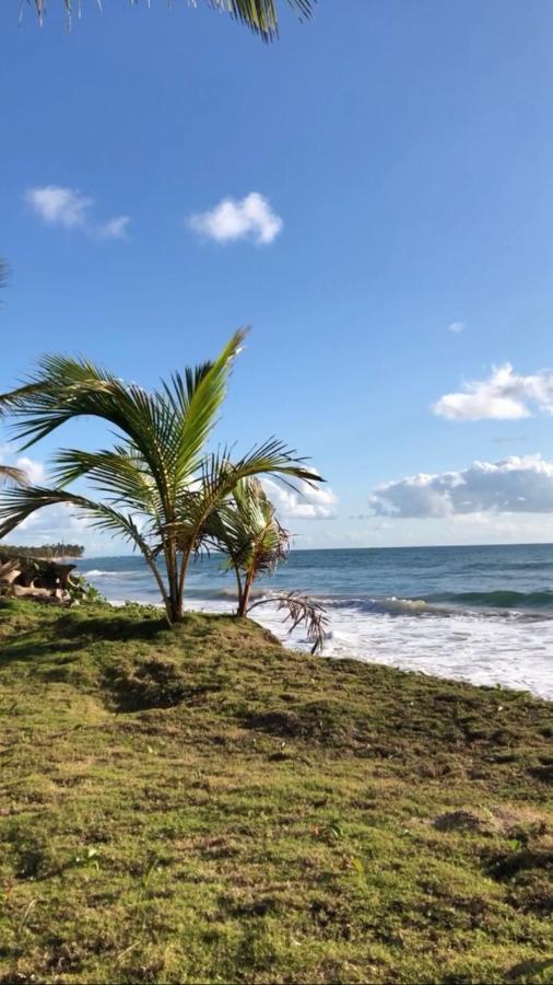 Taipu De Fora Homestay